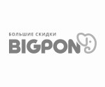 Bigpon