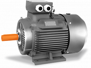 Электродвигатель АИР100L6 (АИР 100 L6) 2,2 кВт 1000 об/мин